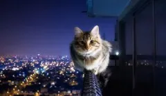 Că solul este ușor de a ridica, dar este greu să arunci