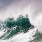 educație tsunami, clasificare, fapte interesante (poze) (valuri de tsunami din Oceanul de mii de kilometri periculoase copac imens în apropierea coastei) educație tsunami, clasificare, fapte interesante (poze)