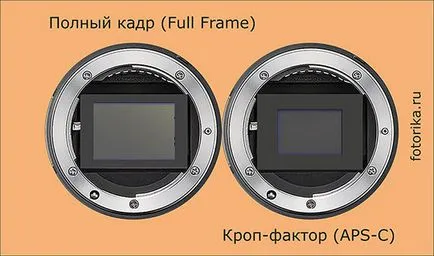 Ce este un full-frame de argumente pro și contra ale camerei (avantaje) Ce este un full-frame avantaje și dezavantaje ale camerei
