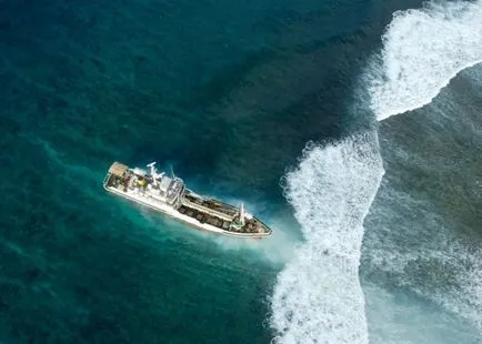 educație tsunami, clasificare, fapte interesante (foto) (clasificare) educație tsunami, clasificare, fapte interesante (poze)