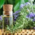 Ulei esential de patchouli - 9 9 metode de aplicare și rețete