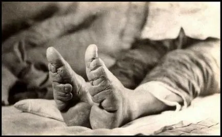 Dacă nu înțelegeți în frumusețea - este mai bine să nu meargă (22 poze)