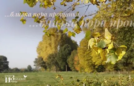 poem frumos Mintală despre toamna, pe blog-ul Iriny Zaytsevoy
