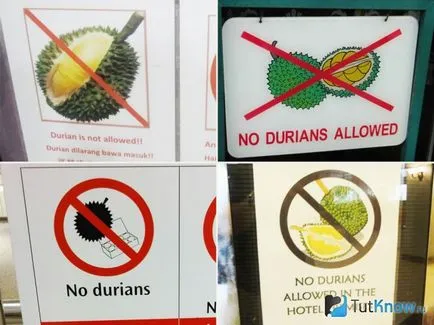 proprietăți utile Durian, rău, calorii, cum să mănânce (vitamine) proprietăți utile Durian, rău, calorii, cum să mănânce