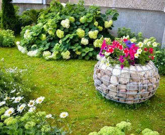 Cum de a planta flori la cabana frumos de-a lungul pistei, pe un pat (frumos) Cum de a planta flori la cabana de-a lungul pistei frumoase în strat de flori