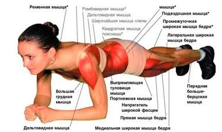 Cum de a face bar pentru presa, un bar de exercițiu (dreapta) Cum de a face bara pentru cureaua exercițiu de presă