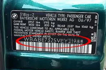 Cum de a citi un vin - cod vehicul