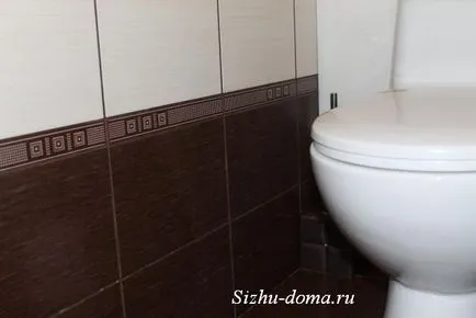 Cum să se spele toaleta, eu stau acasă (cu copii mici) Cum să se spele toaleta, eu stau acasă