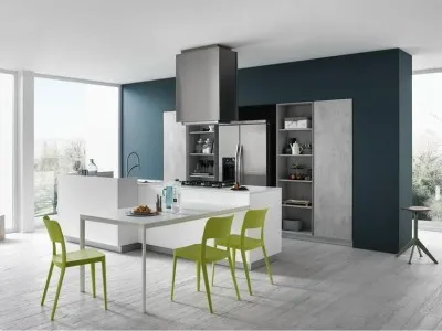 Condiții de viață într-un stil minimalist (120 poze)