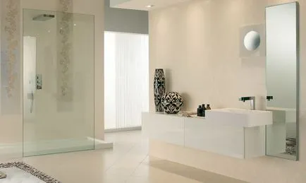 Baie de interior cu duș și fotografie de design baie cu duș (duș) Baie de interior cu duș și fotografie baie de design cu duș