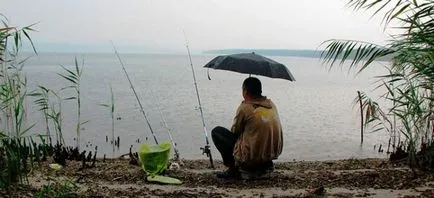 Cum de a prinde aborda un pește mare, momeală și momeli, echipamente de pescuit (momeală) Cum de a prinde aborda un pește mare, momeală și momeli, echipamente de pescuit