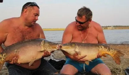 Cum de a prinde un pește foarte mare, un maestru fisher (exclusiv) Cum de a prinde un pește foarte mare, de Master Fisher