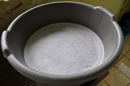 Cum sa scapi de furnici in casa negru, apartament