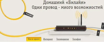 Cum să plătească pentru Beeline de internet acasă de la un telefon mobil (Beeline) Cum de a plăti internet acasă Beeline telefon mobil