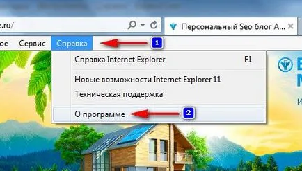 Cum de a actualiza Internet Explorer 2 dovedit moduri