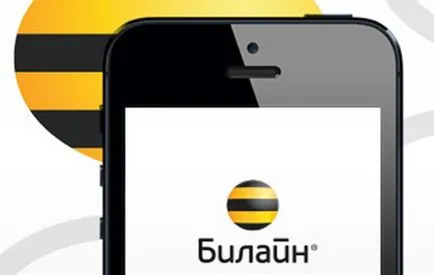 Cum să plătească pentru Beeline de internet acasă de la un telefon mobil (mobil) Cum de a plăti internet acasă Beeline telefon mobil