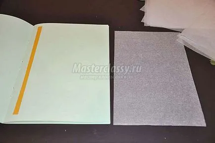 Cum sa faci un ierbar din albumul