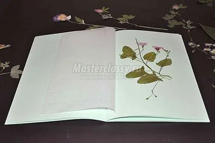 Cum sa faci un ierbar din albumul