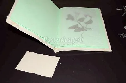 Cum sa faci un ierbar din albumul