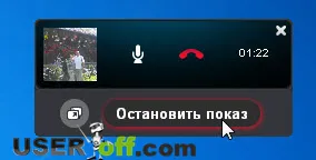 Cum de a permite accesul la ecran pe Skype