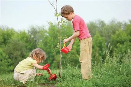 Cum să-și petreacă vara cu copilul tau interesant (copil) Cum să-și petreacă vara cu copilul tau interesant
