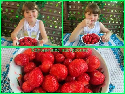 Cum să-și petreacă vara cu copiii lor, copiii și nepoții (să-și petreacă) Cum să-și petreacă vara cu copiii, copiii și nepoții