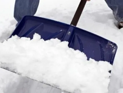 Cum de a alege lopata dreapta, portalul clădire