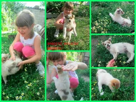 Cum să-și petreacă vara cu copiii lor, copiii și nepoții (de vară pentru copii poate) Cum să-și petreacă vara cu copiii, copiii și nepoții
