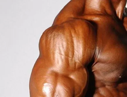 Cum de a face metan metan pentru cresterea masei musculare (ia) Cum de a face metan metan pentru cresterea masei musculare