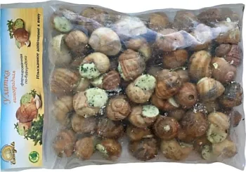 Tenyésztési csigák otthon kezdőknek (feltételek) Tenyésztési csigák otthon kezdőknek
