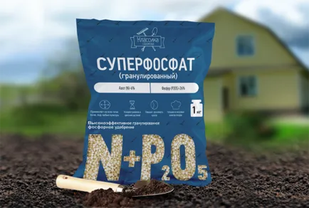 A szaporodási eper bajusz nyár