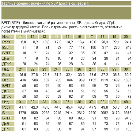 A méretek a magzat ultrahanggal