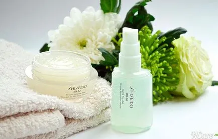 Shiseido krém a bőr a szem körül előnyeiről és hátrányairól (szem) Shiseido krém a bőr a szem körül előnyeiről és hátrányairól