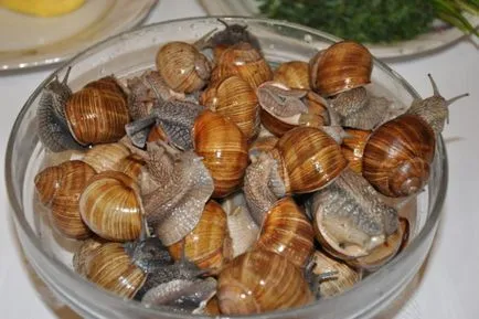 Főzni csigák szőlő