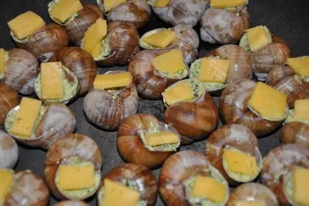 Főzni csigák szőlő