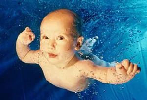 Pool, mint a hal Pool, mint a hal