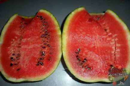 növekvő görögdinnyét növekvő görögdinnyét
