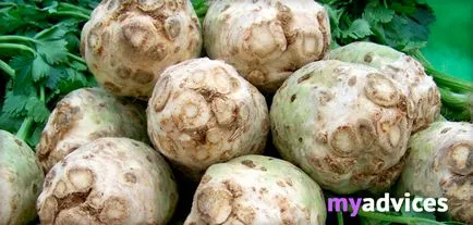 Mi köze zeller Mi köze zeller