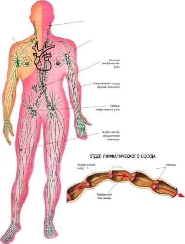 Mi a nyirokerek