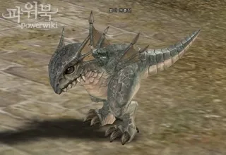 pet rendszer