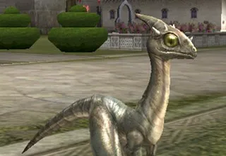 pet rendszer