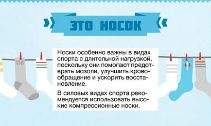 Shtangetki kutatás, infographics és gyakorlati felhasználásának előnyei a shtangetok