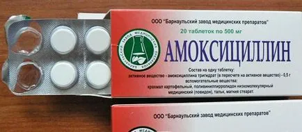 Antibiotikumok kutyáknak Antibiotikumok kutyáknak