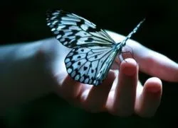 Butterfly, mint egy ember