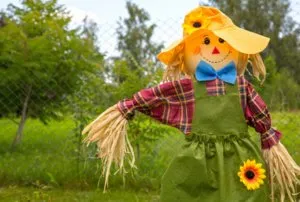 Hogyan készítsünk egy madárijesztő Hogyan készítsünk egy madárijesztő