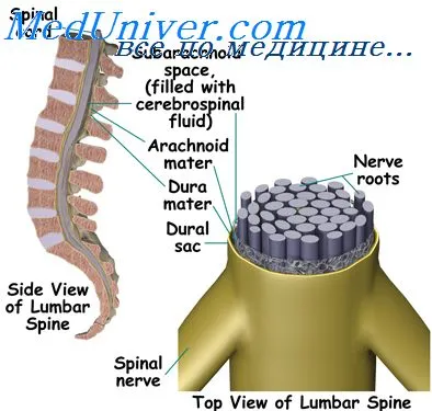 Mi az ér körüli teret