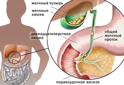 Miért a gyermek hány Miért a gyermek hány