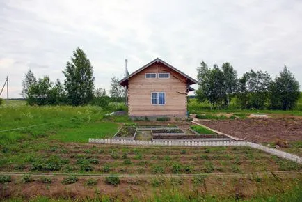 Szövés, mint Szövés, mint