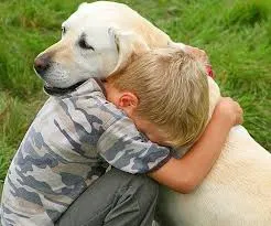 Mi a költsége euthanize egy kutya egy állatorvosi klinikán és otthon