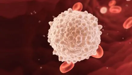 Reakcióvázlat kezelésére trichomoniasis